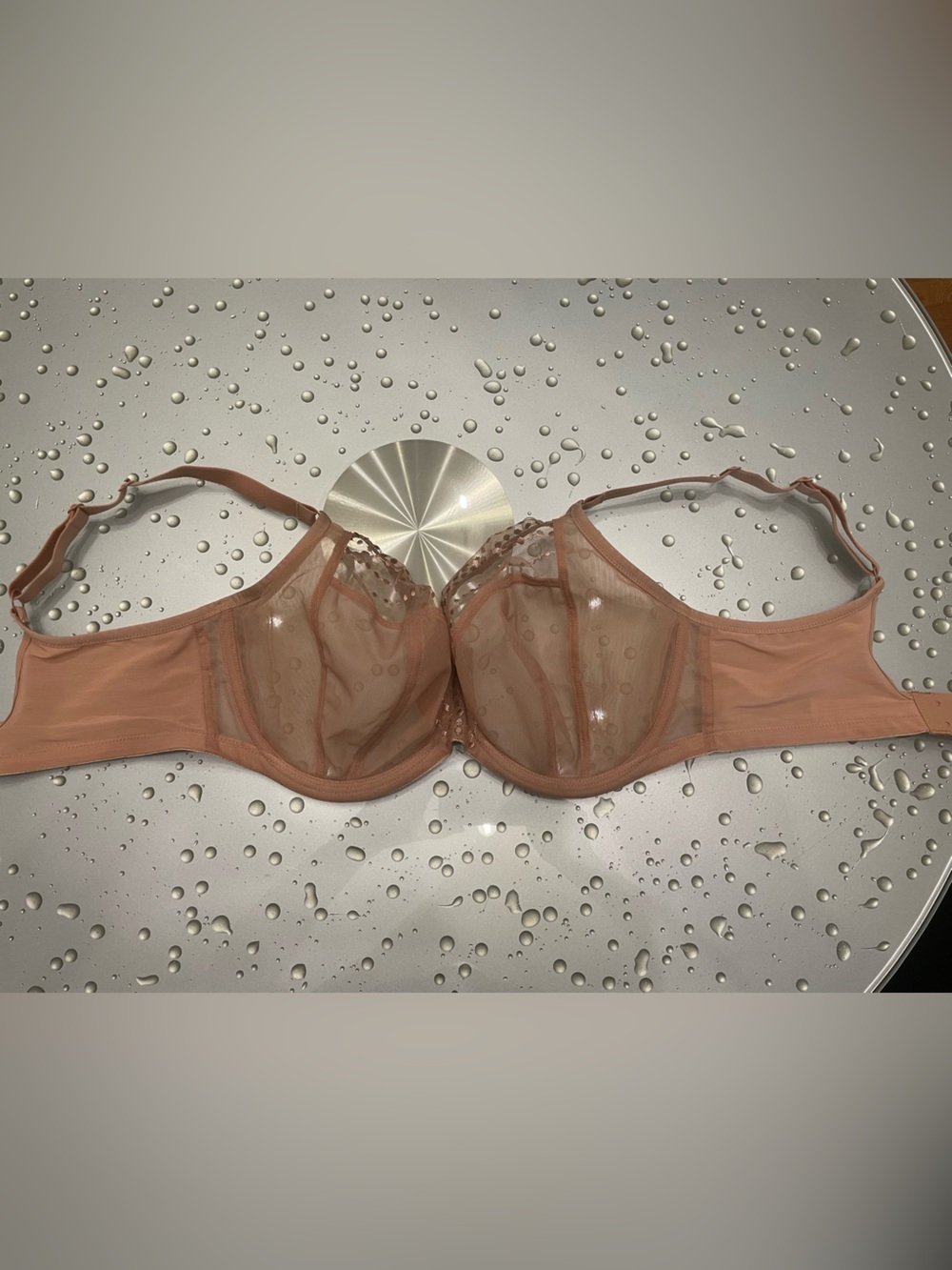 Elomi Sheer Underwire Bra in Nude